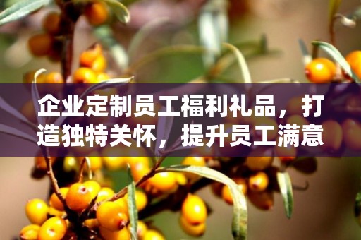 企业定制员工福利礼品，打造独特关怀，提升员工满意度与凝聚力