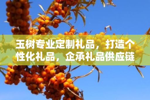 玉树专业定制礼品，打造个性化礼品，企承礼品供应链